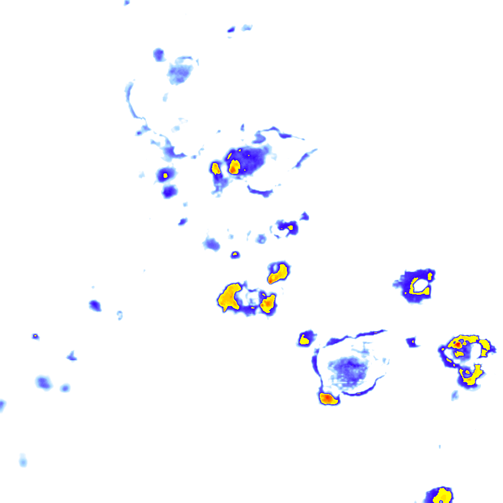 Image Layer