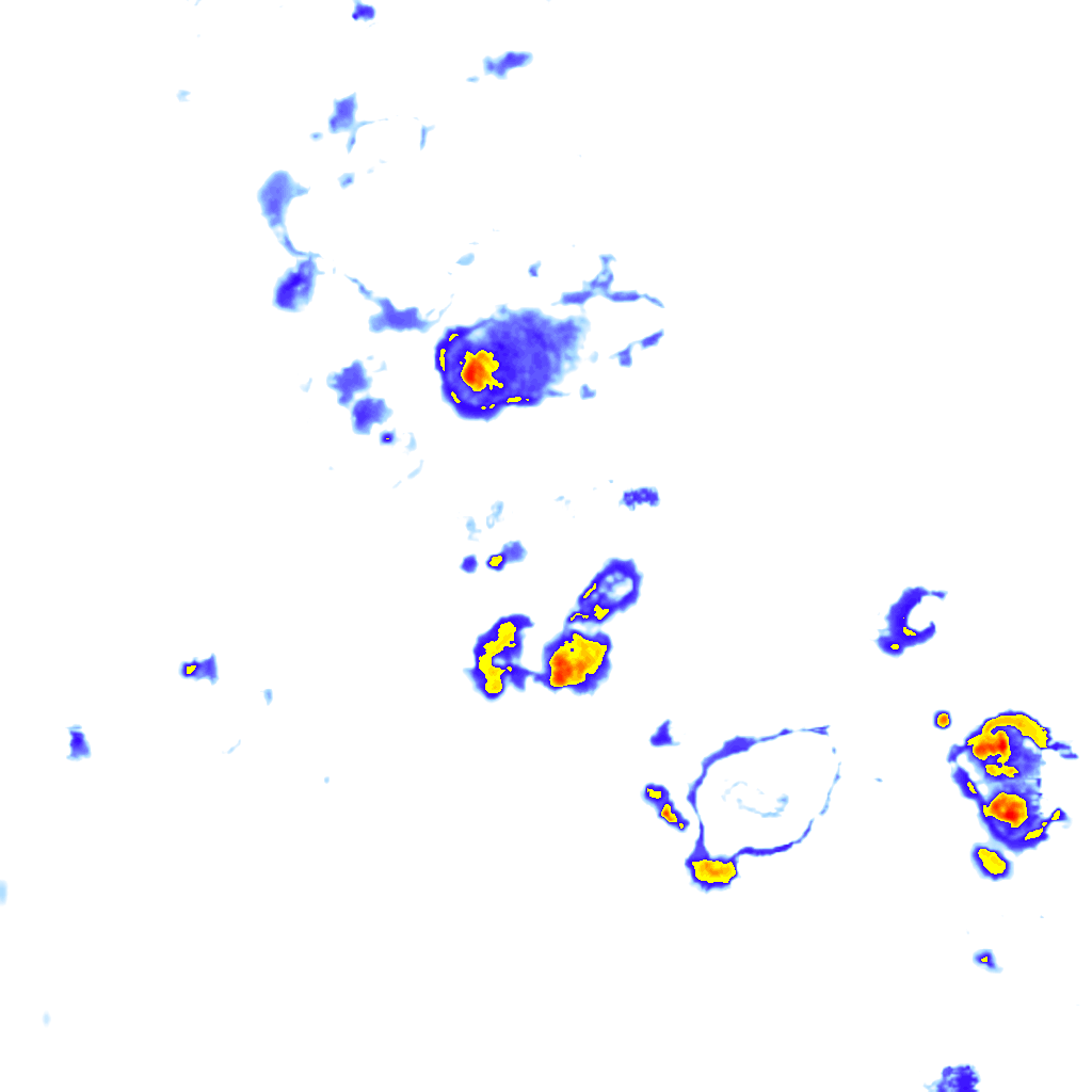 Image Layer
