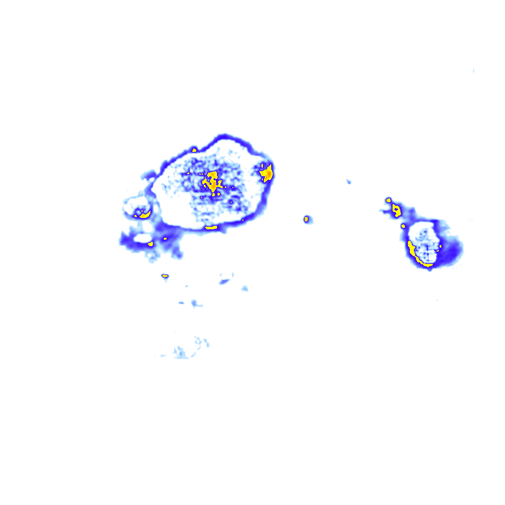 Image Layer
