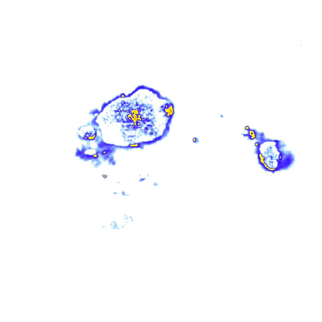 Image Layer