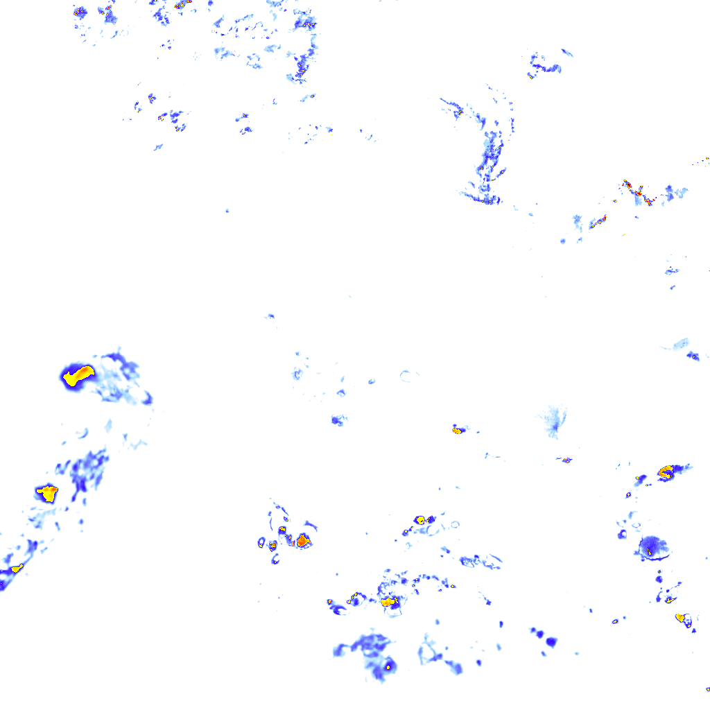 rainLayer