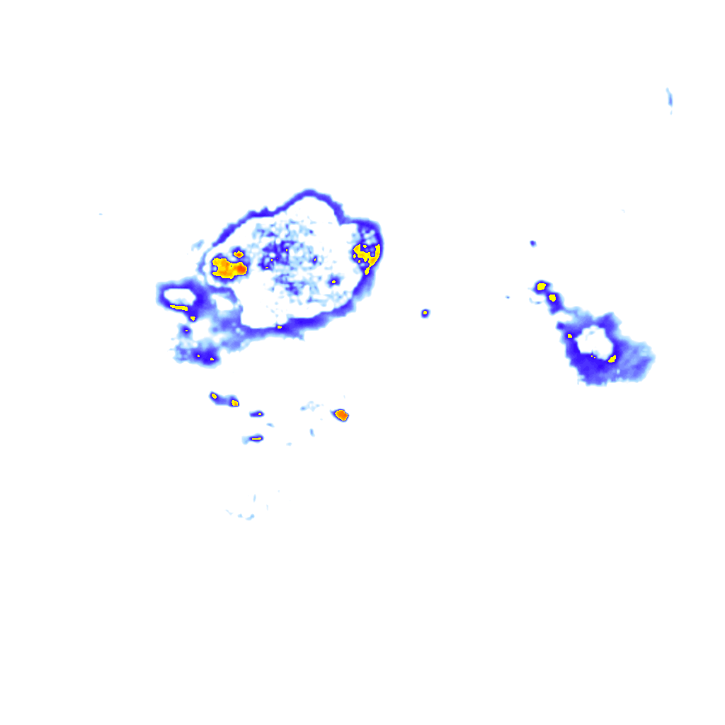 Image Layer