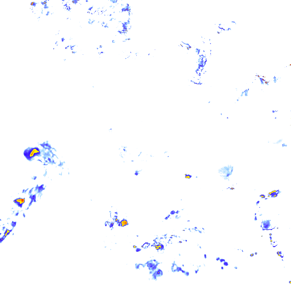 rainLayer