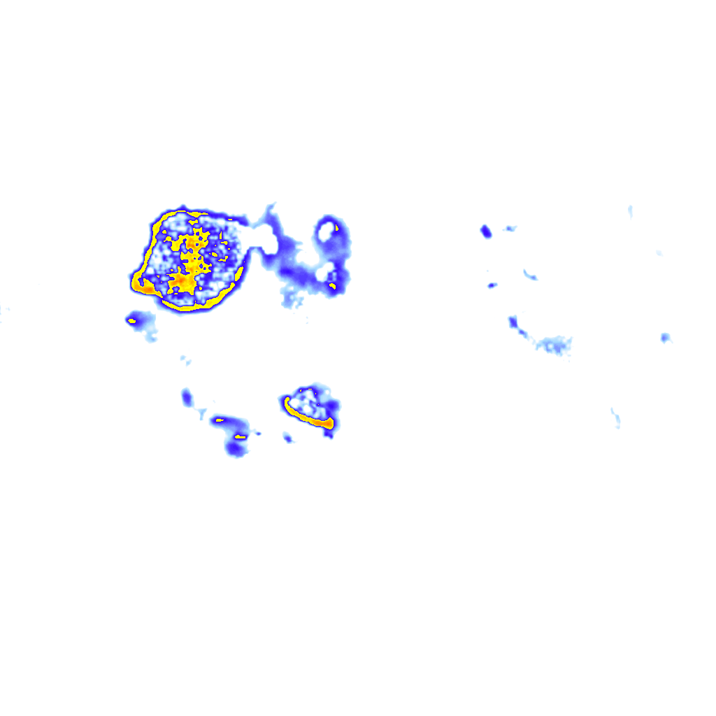 Image Layer