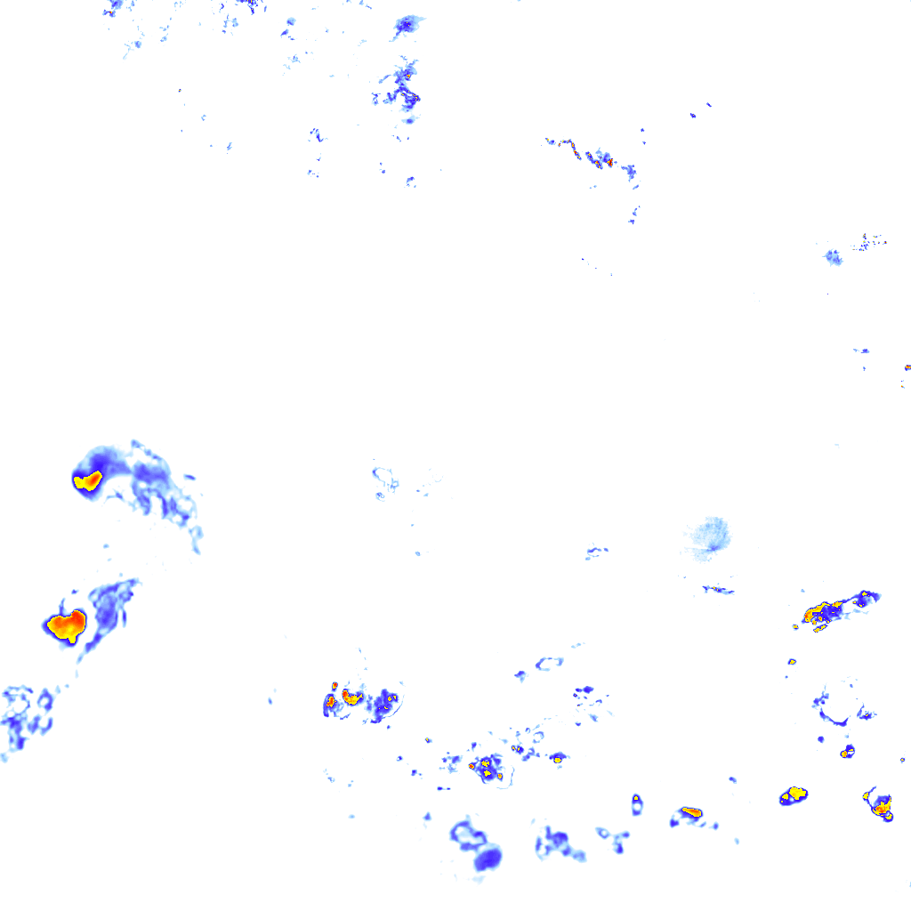 rainLayer