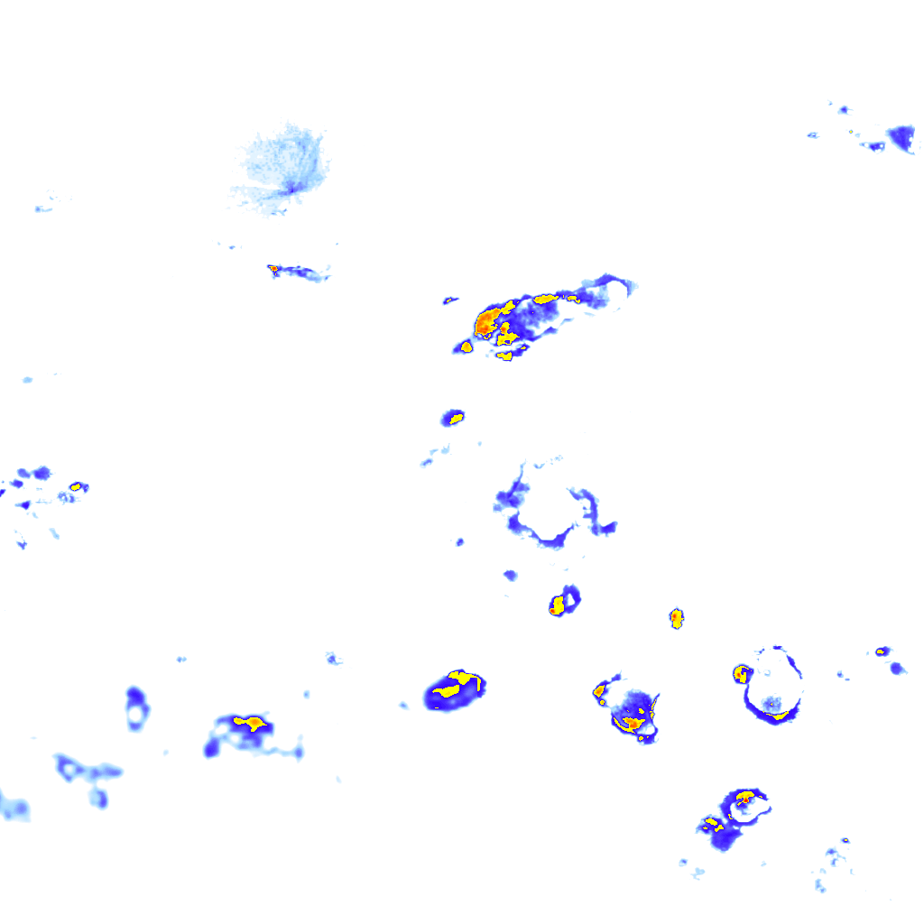 Image Layer
