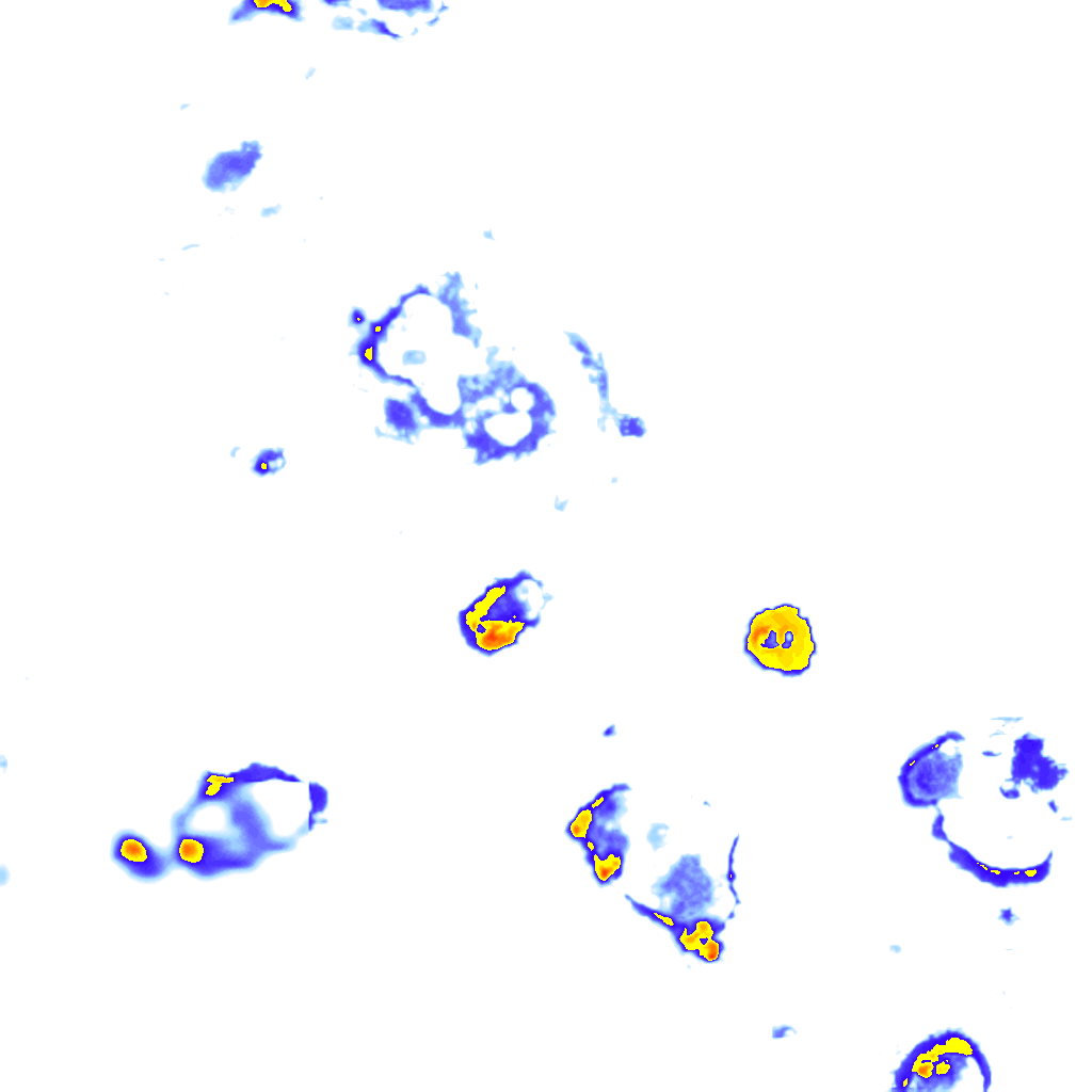 Image Layer