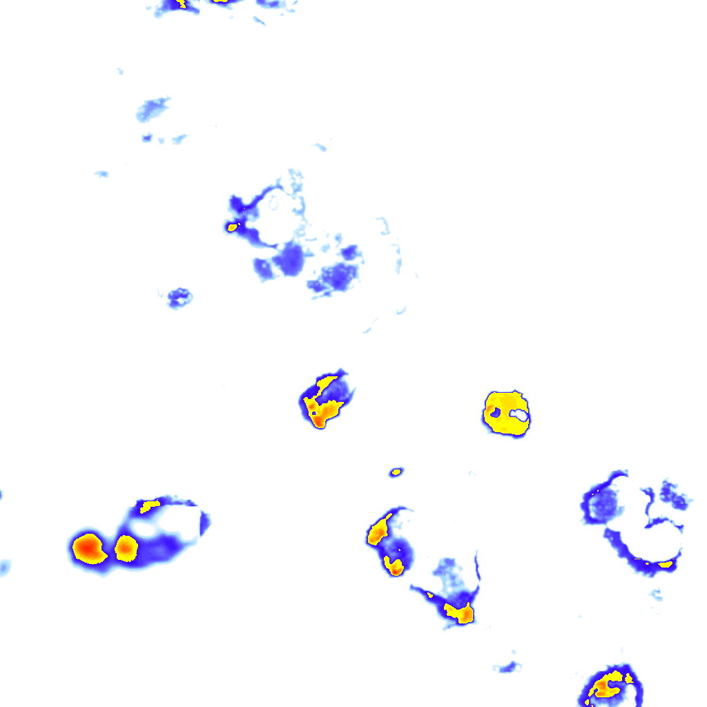 Image Layer