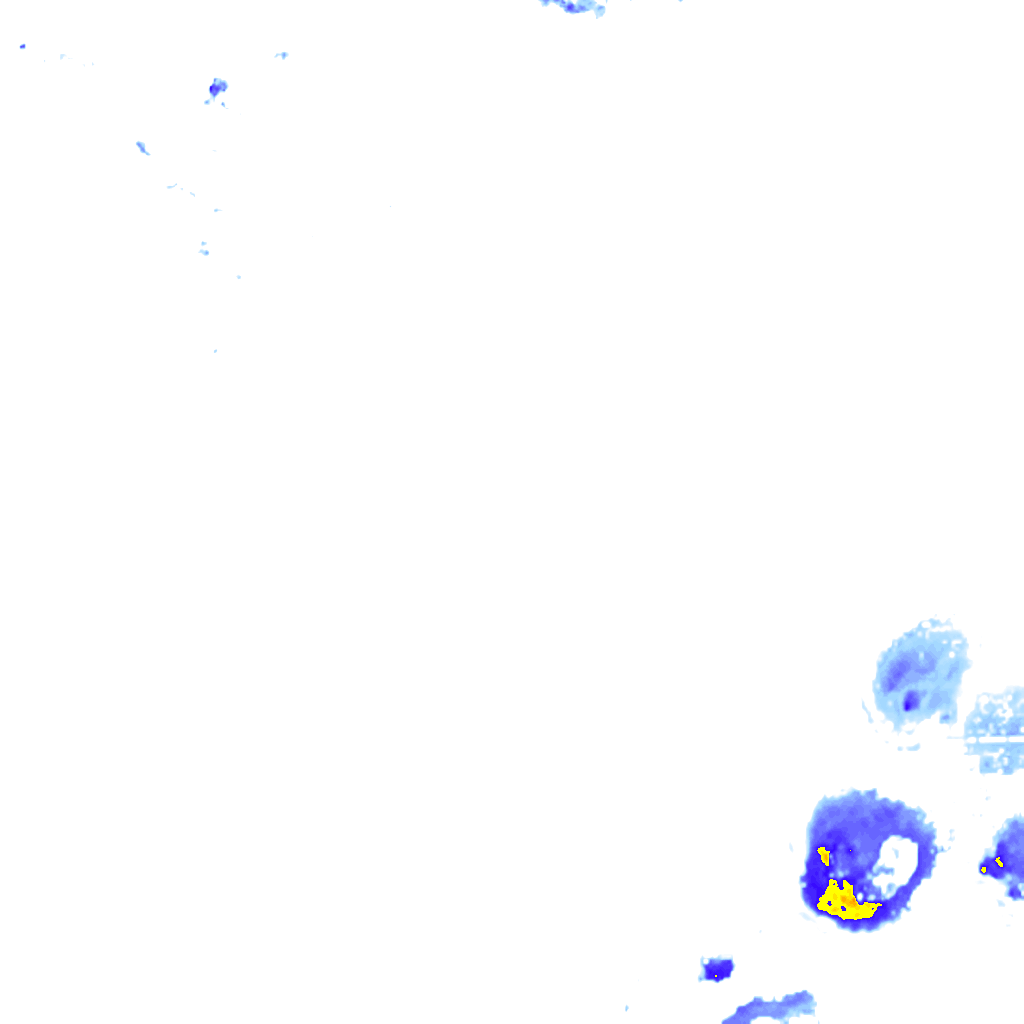 rainLayer