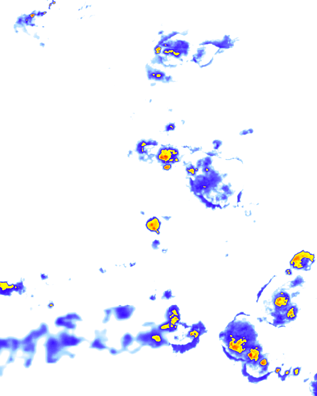 rainLayer