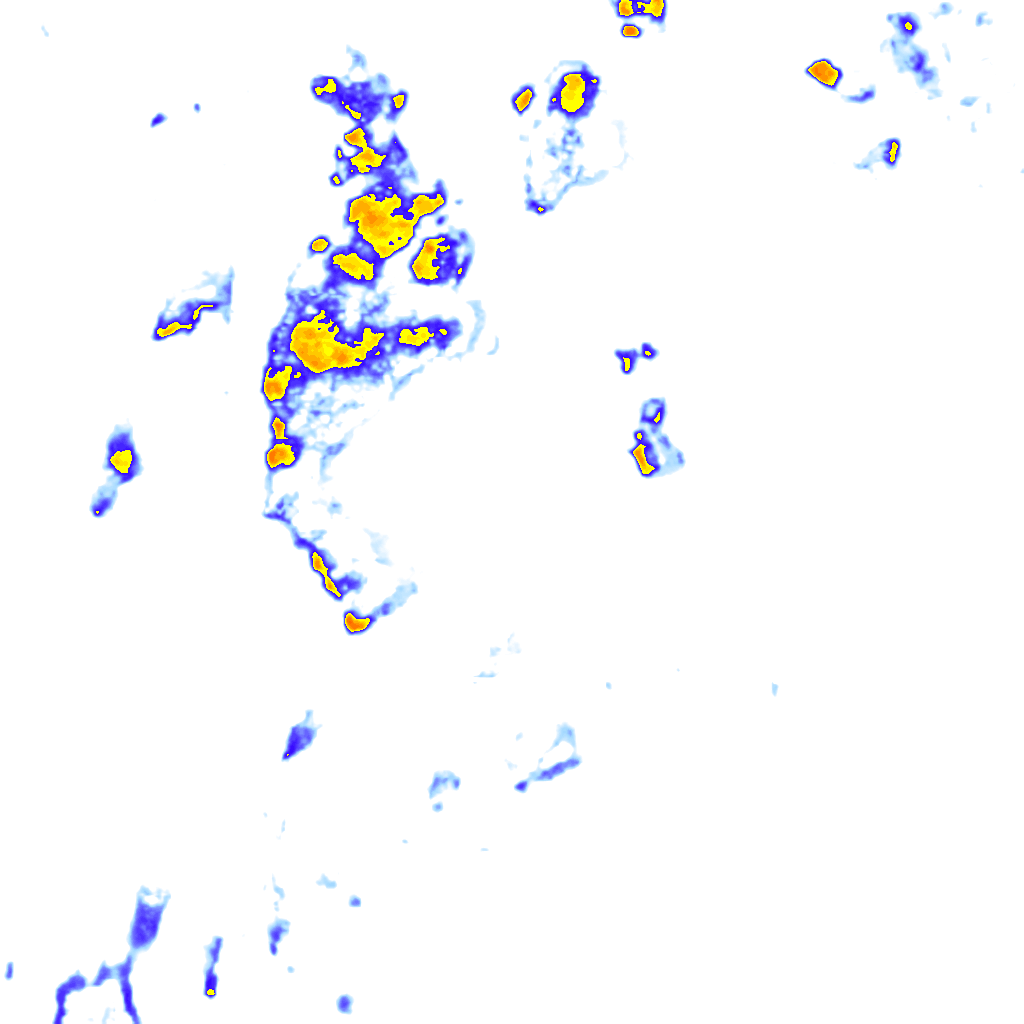 rainLayer