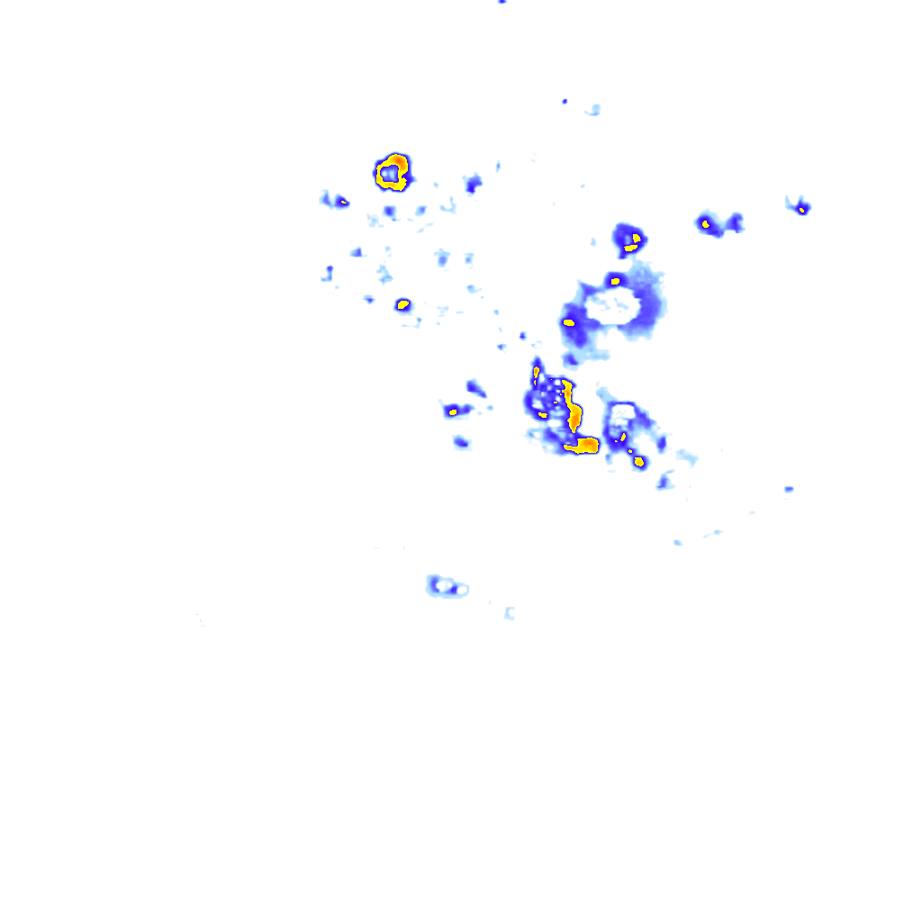 Image Layer