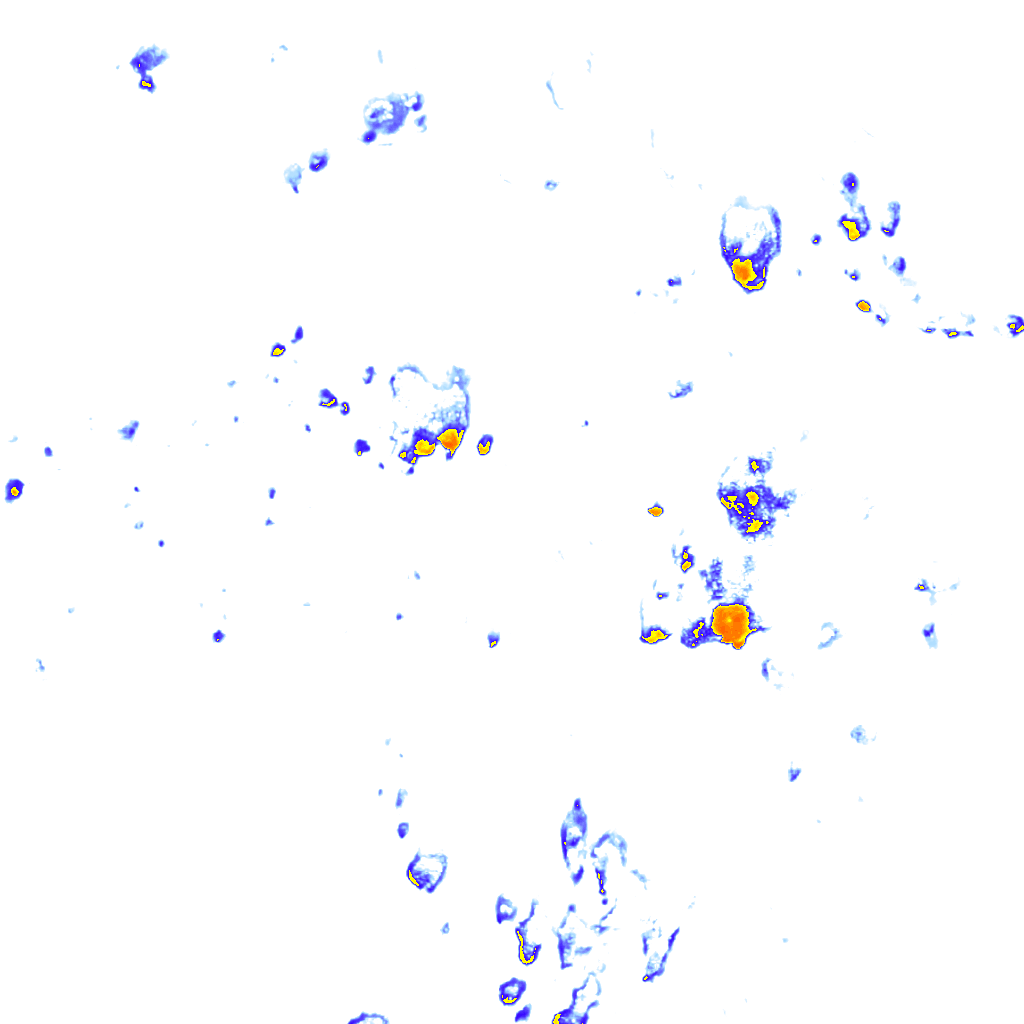 rainLayer
