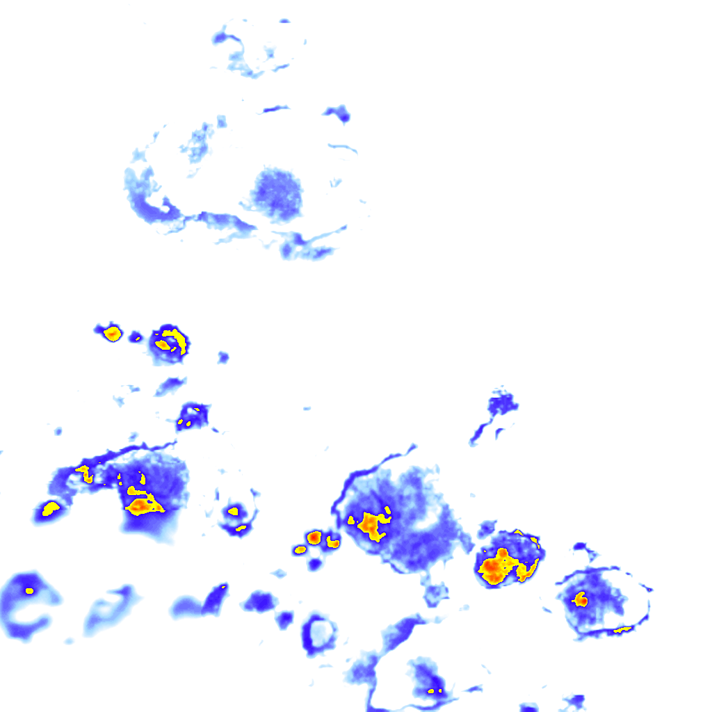 Image Layer