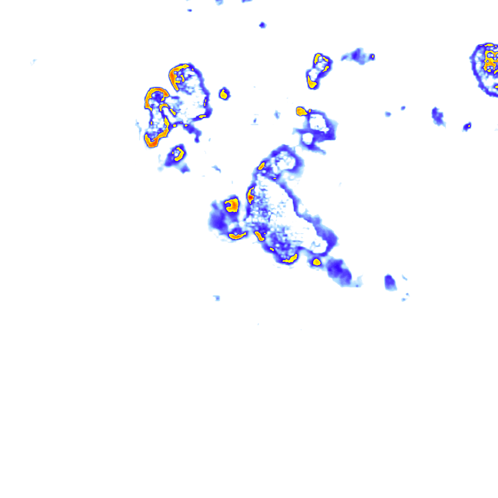 Image Layer
