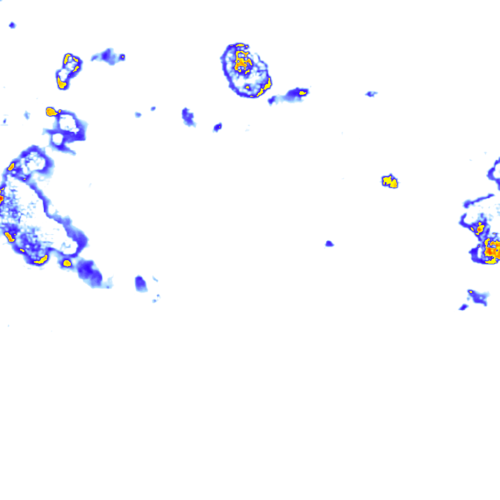 rainLayer