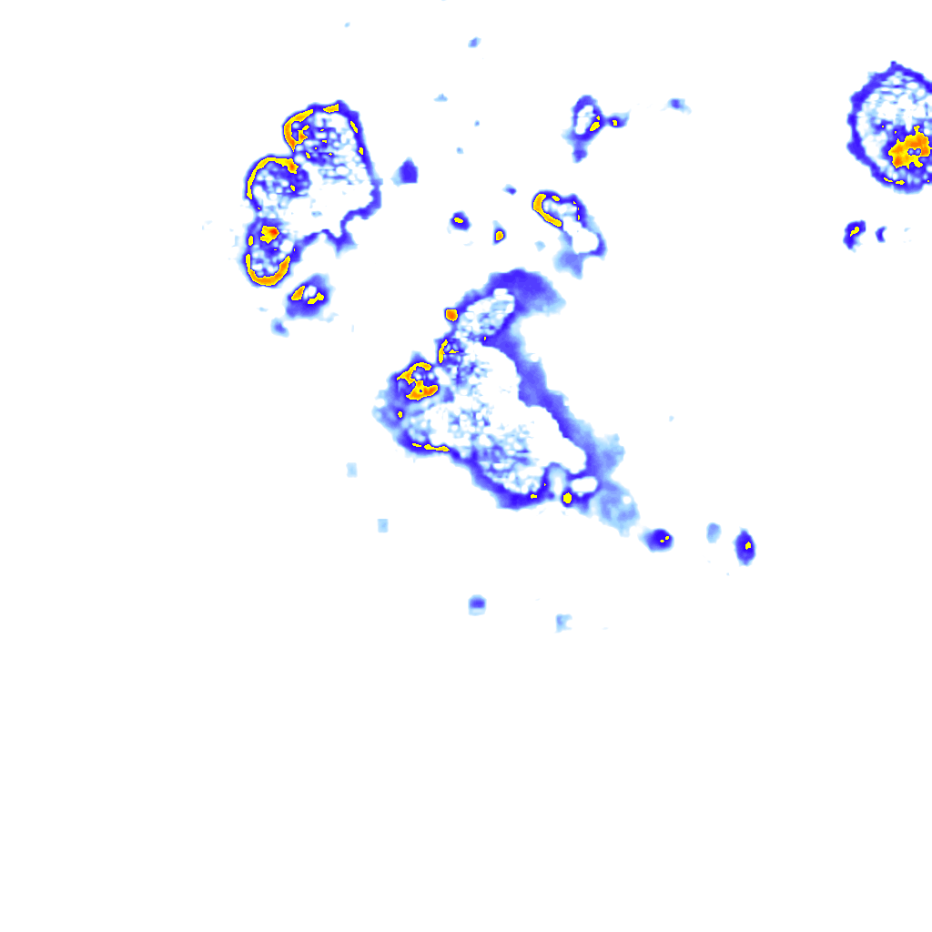 Image Layer