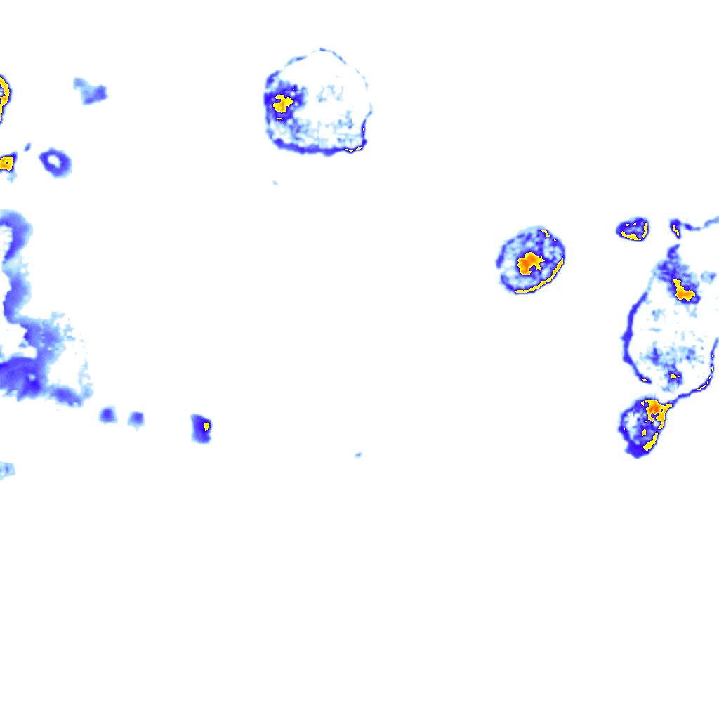 Image Layer