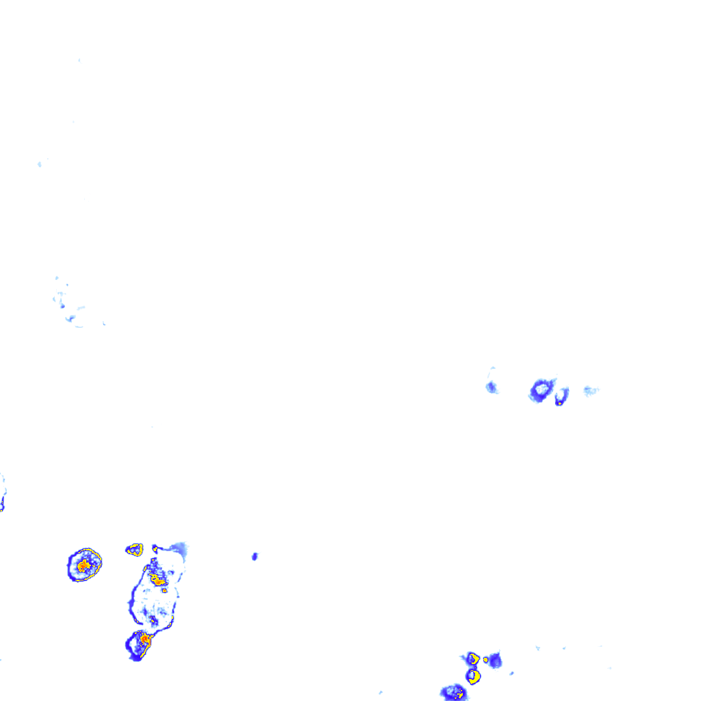 rainLayer