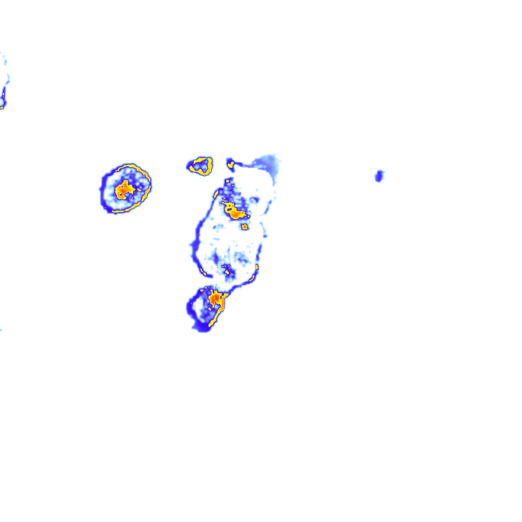 Image Layer