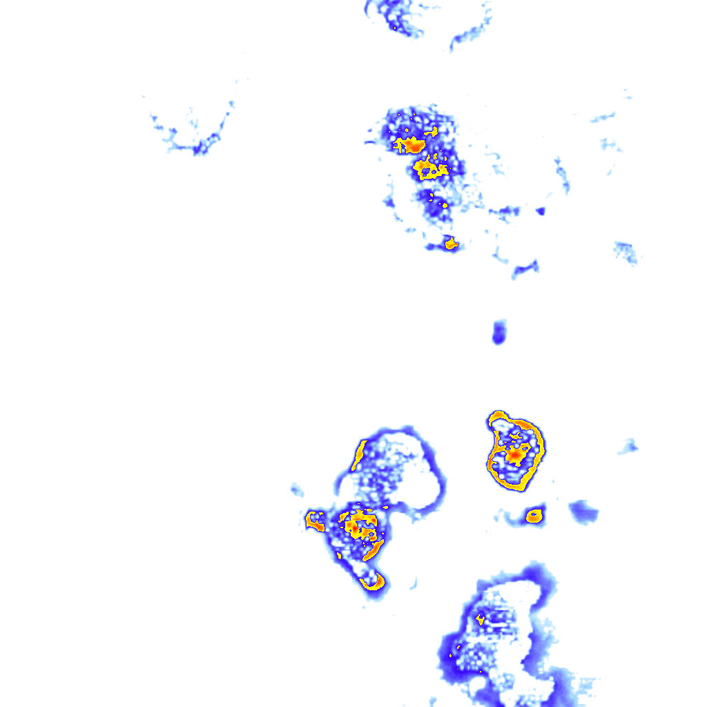 rainLayer