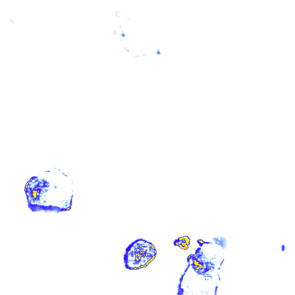 rainLayer