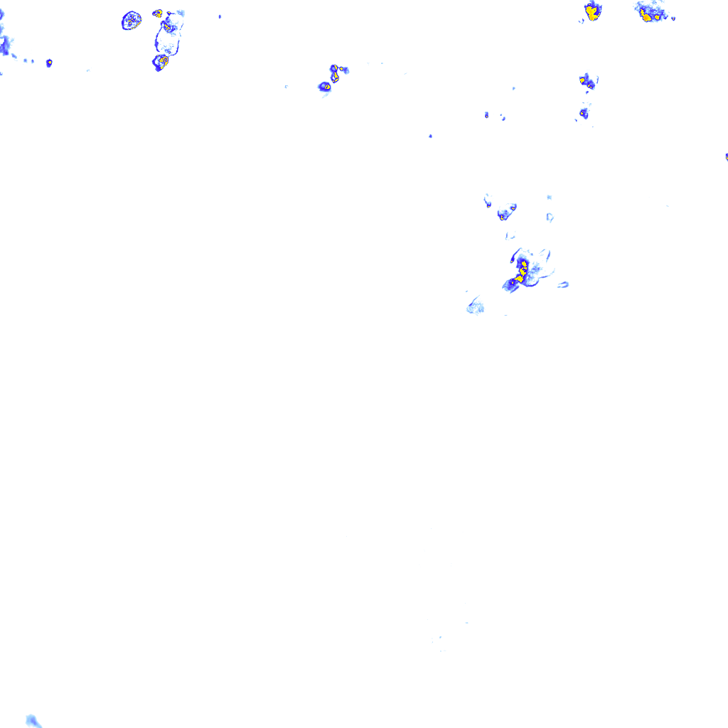 rainLayer