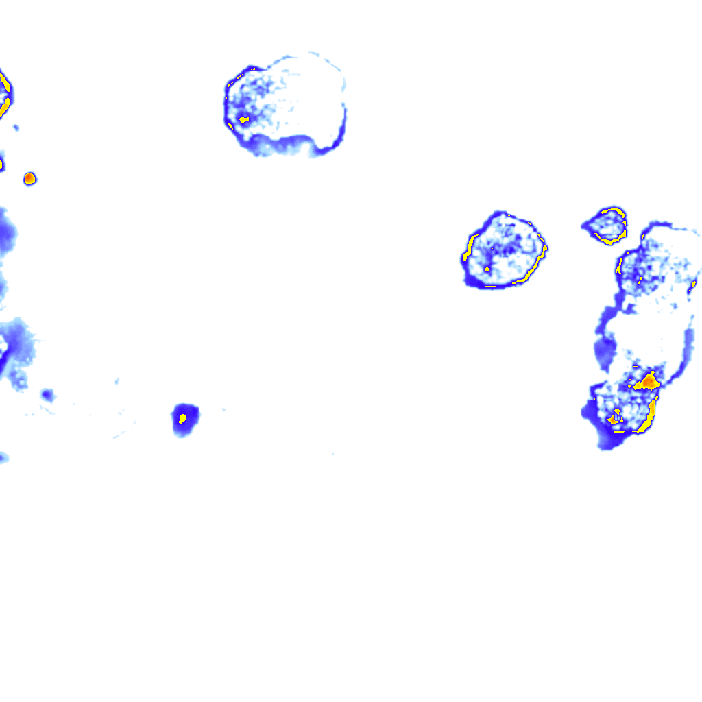 Image Layer