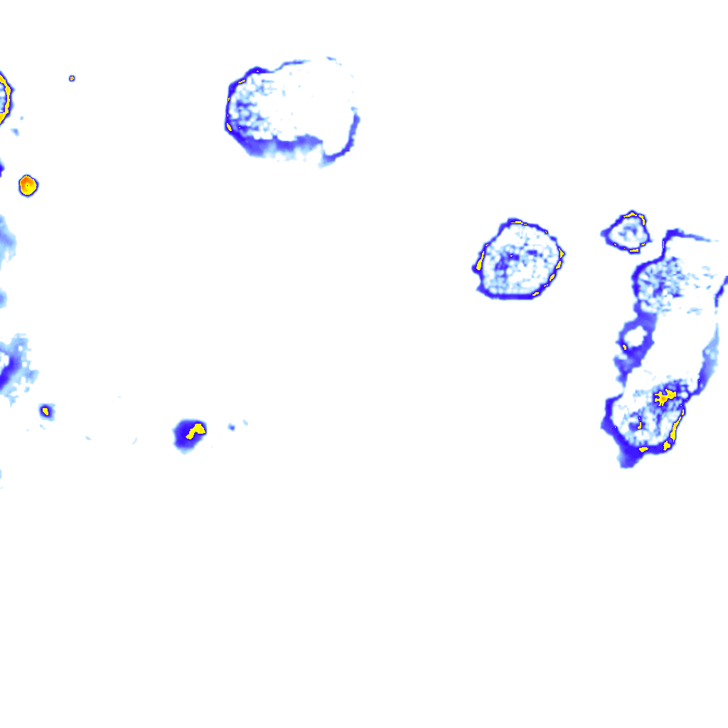 rainLayer