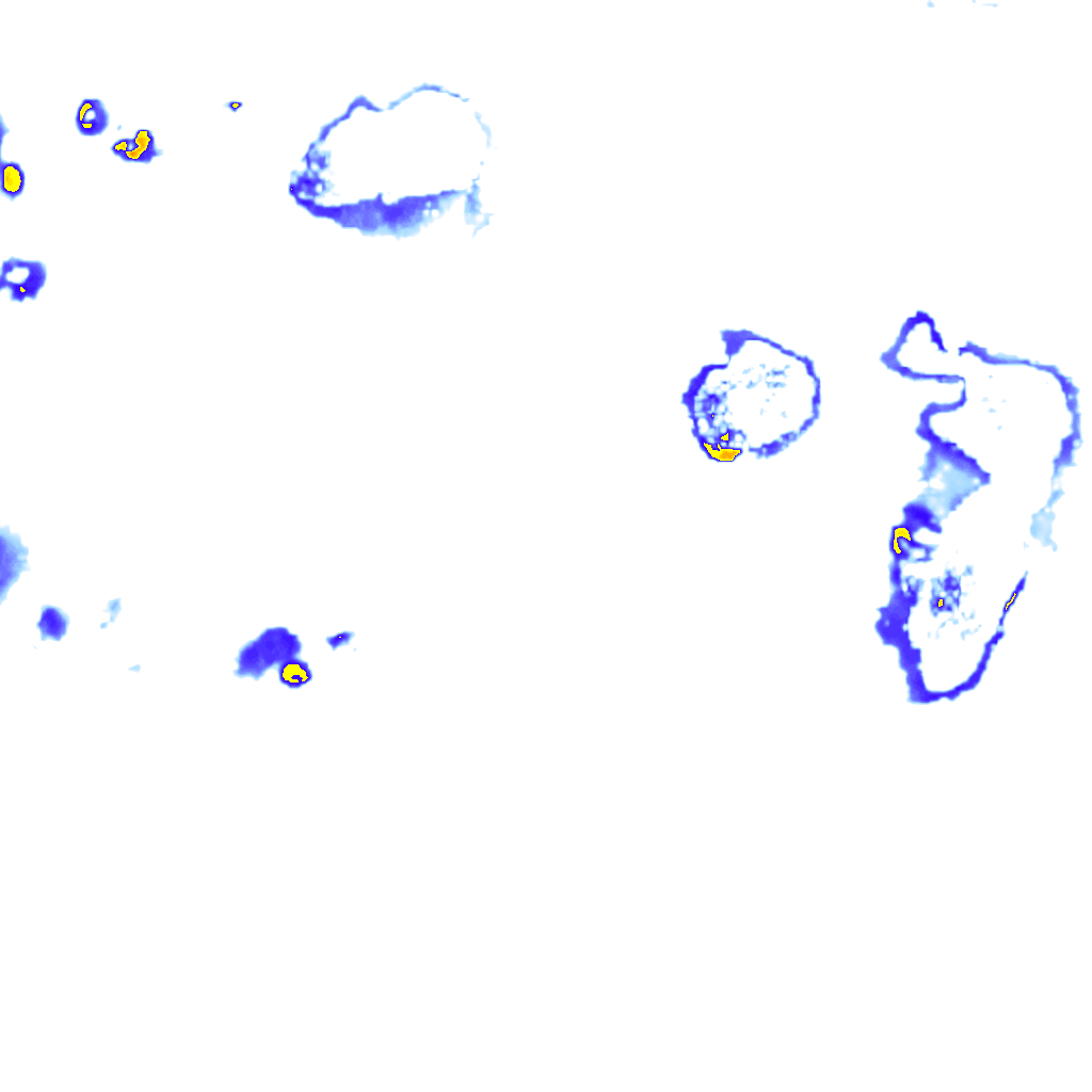 rainLayer