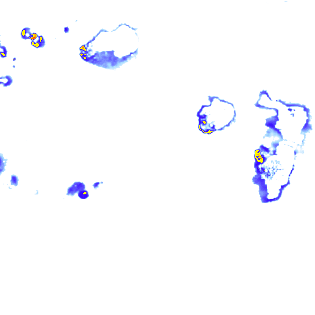 rainLayer