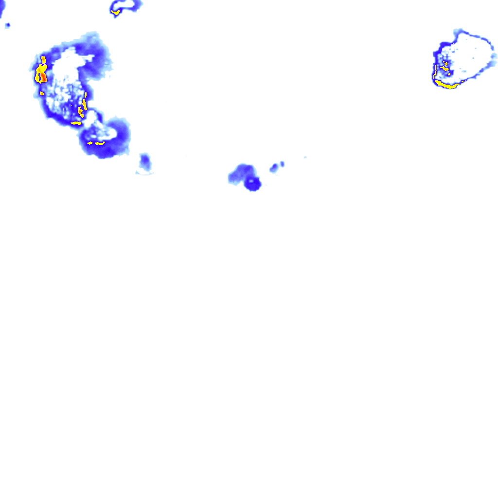 rainLayer