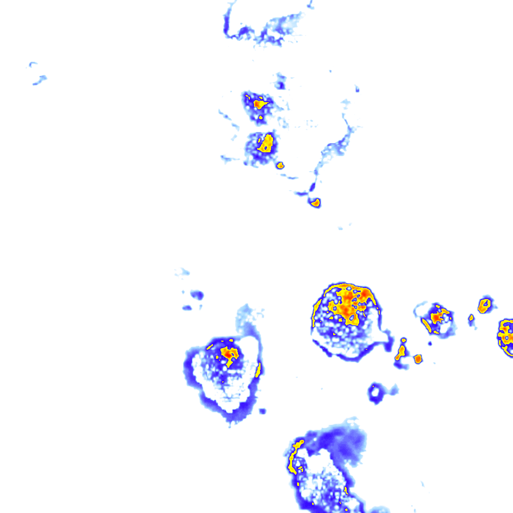Image Layer