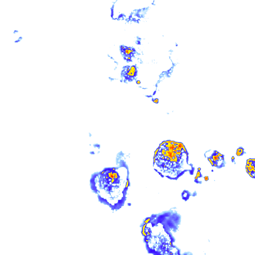 Image Layer