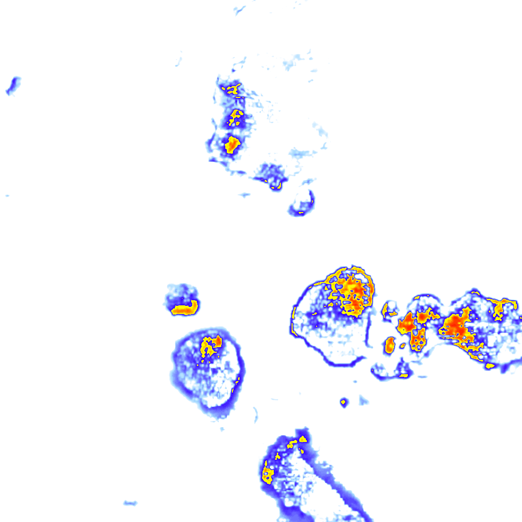 Image Layer