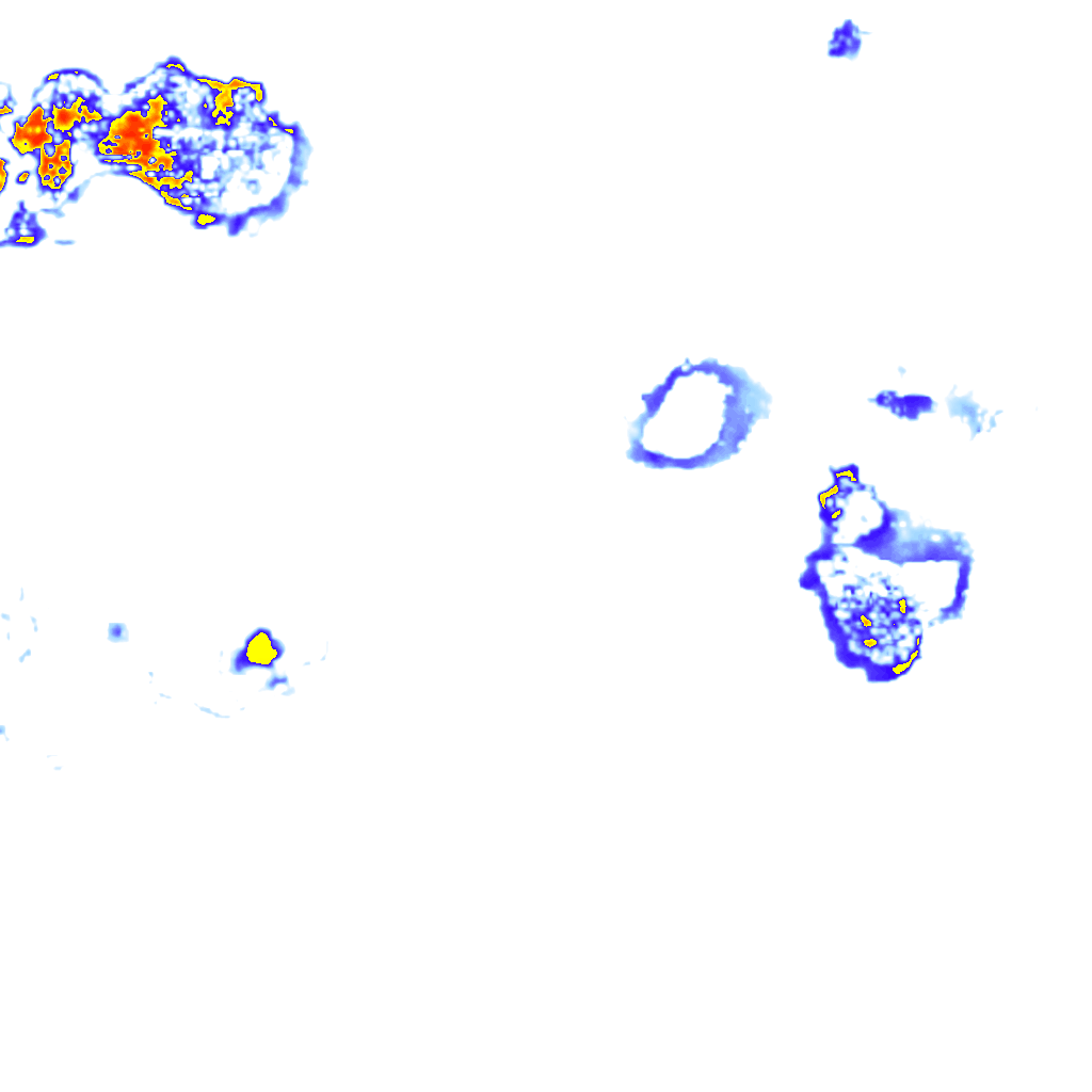 Image Layer