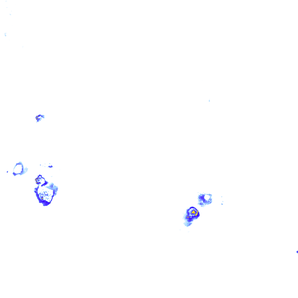 rainLayer