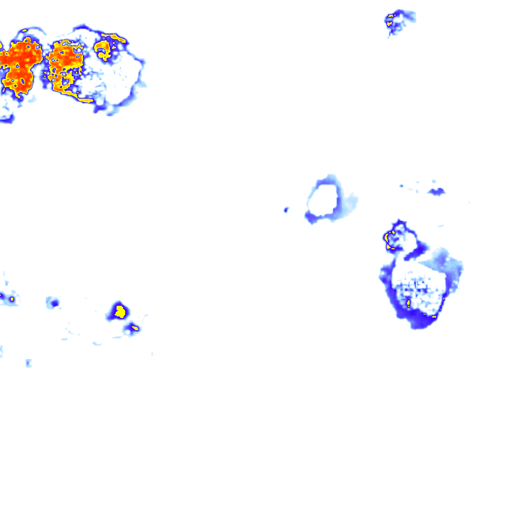 rainLayer