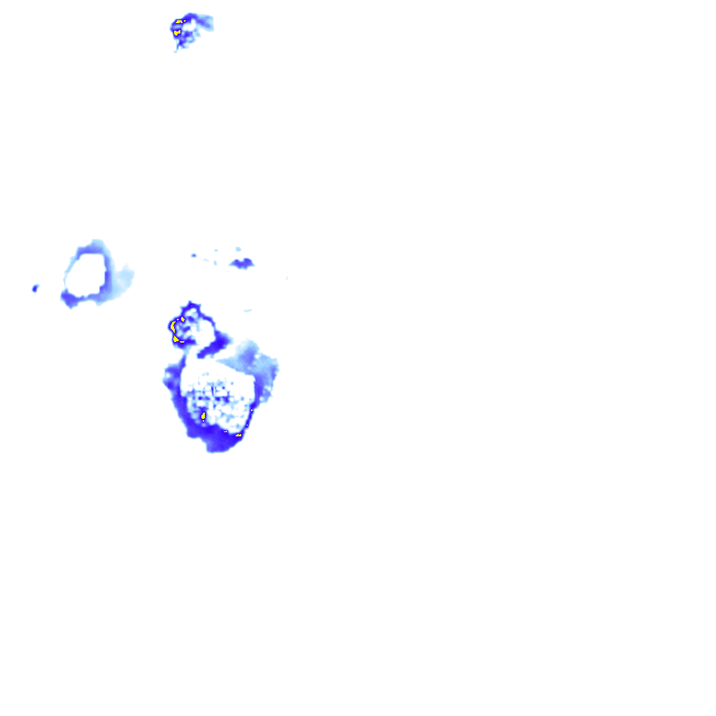 rainLayer