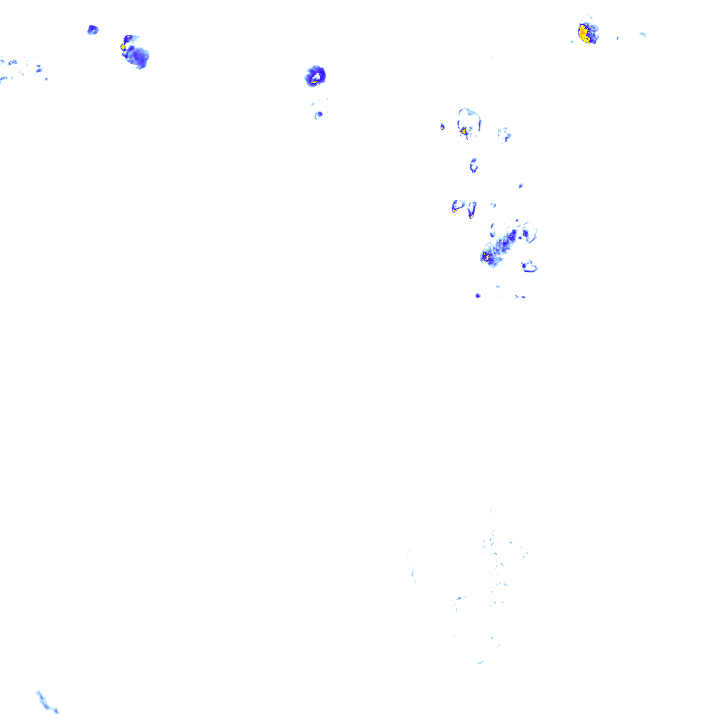 rainLayer