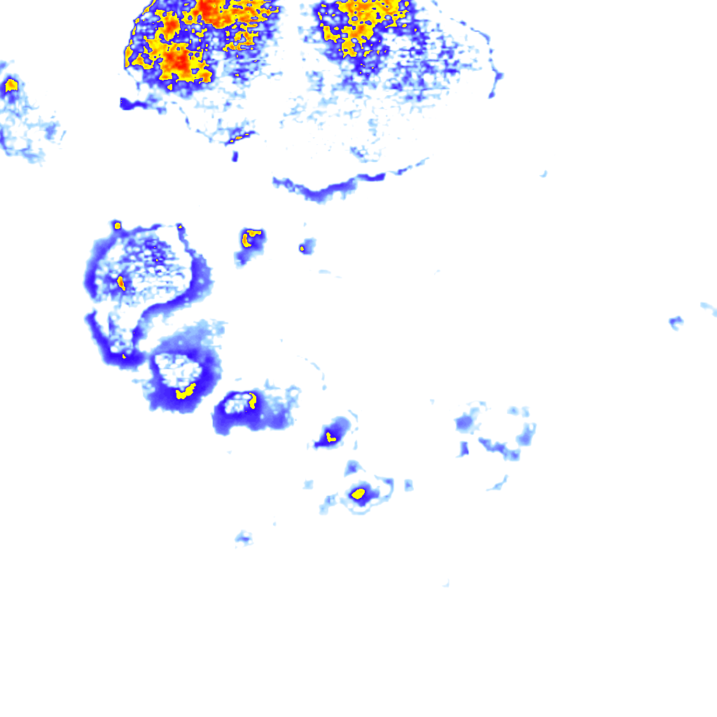 Image Layer