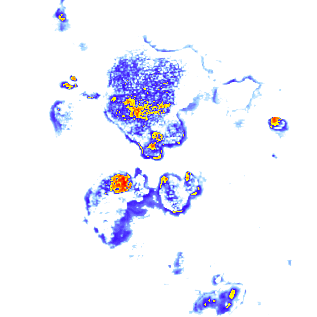 rainLayer
