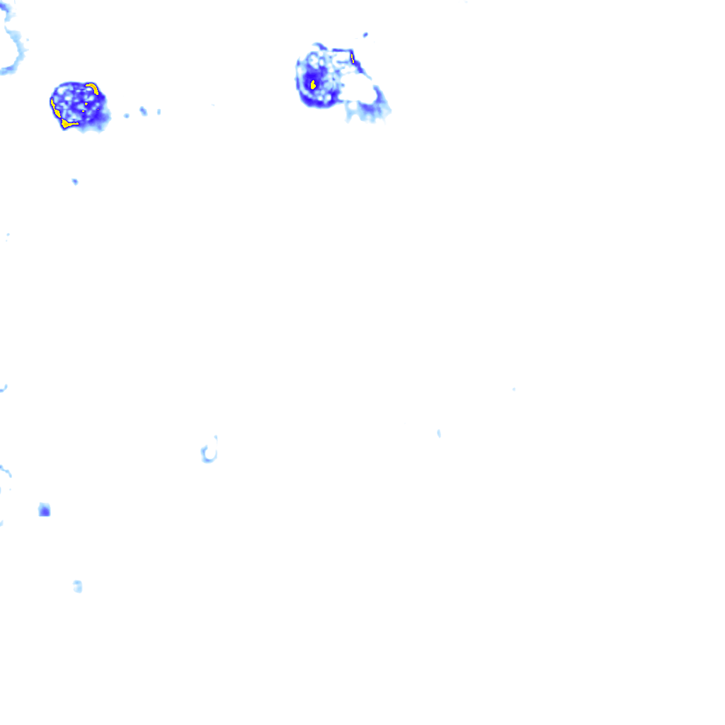rainLayer