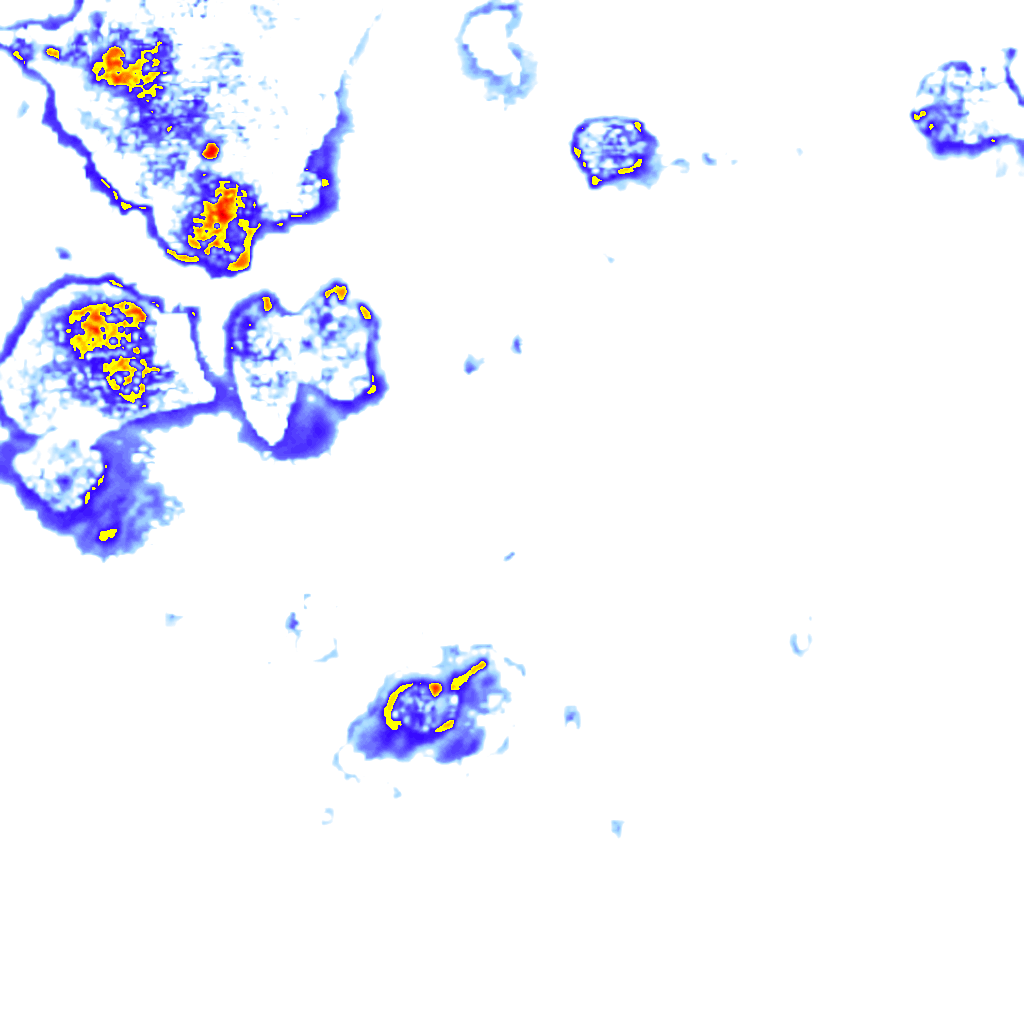 Image Layer