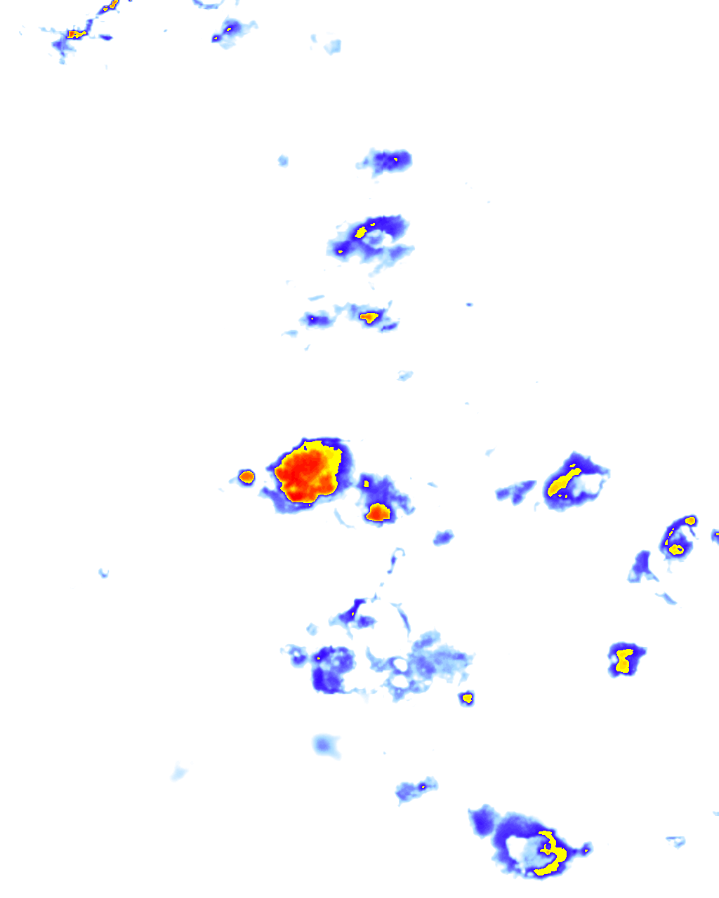 Image Layer