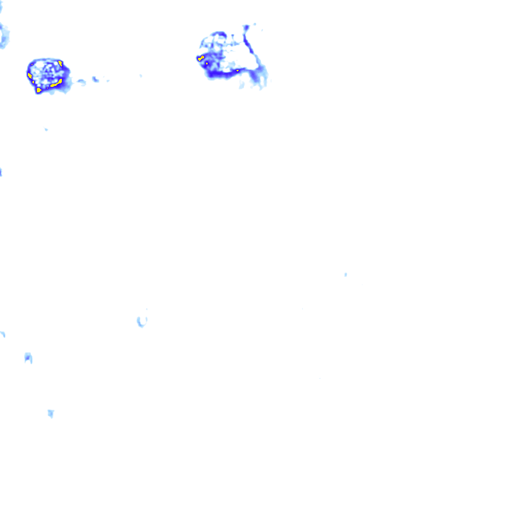 rainLayer