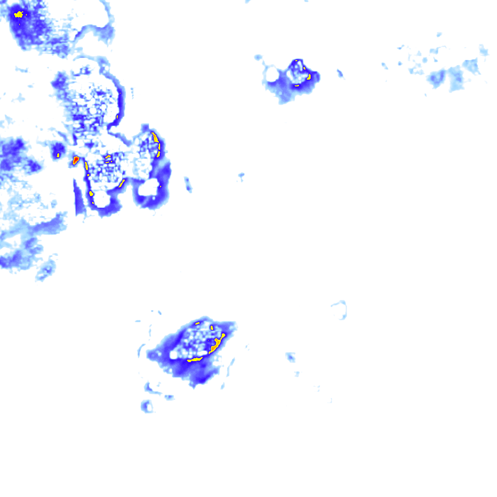 rainLayer