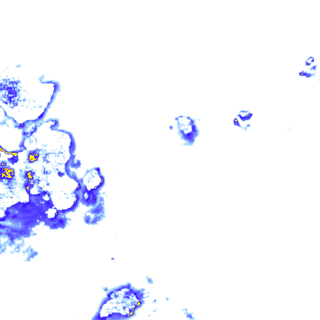 rainLayer