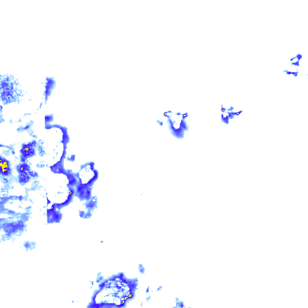 rainLayer