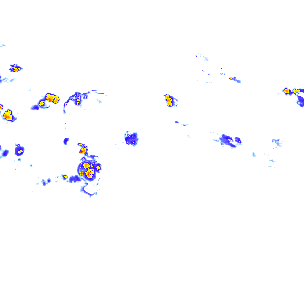 Image Layer